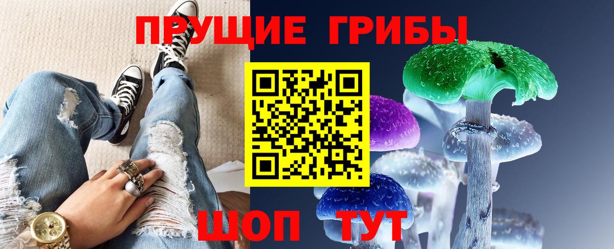 Псилоцибиновые грибы прущие грибы Татарск